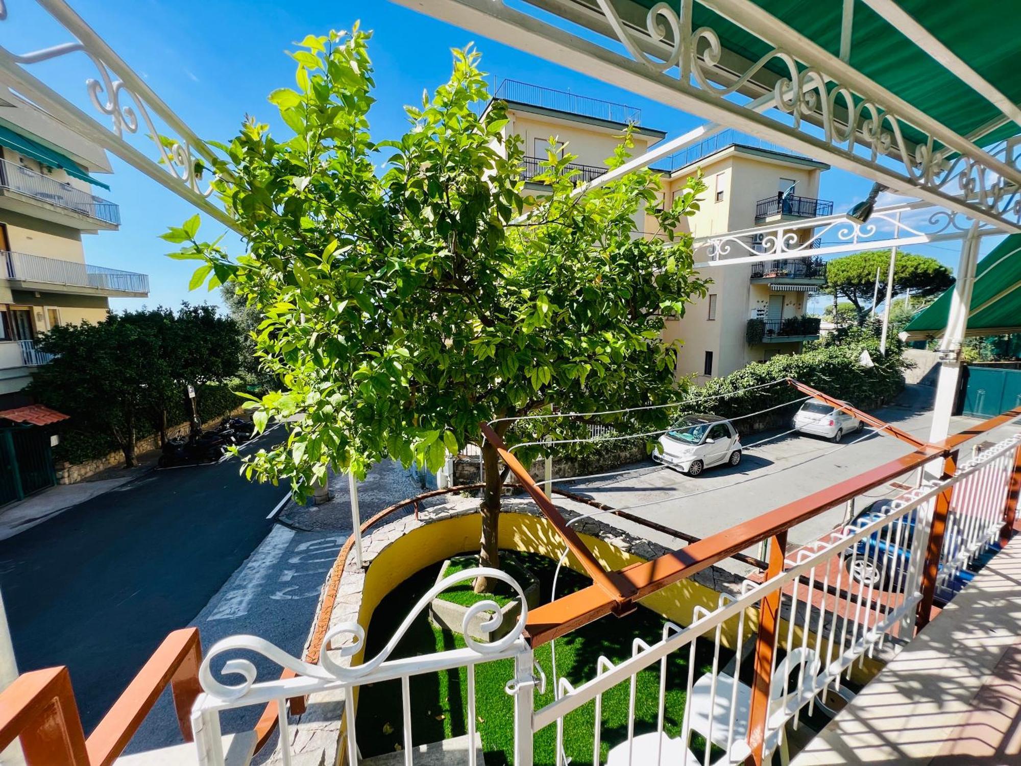 Treehouse Sorrento Apartment מראה חיצוני תמונה